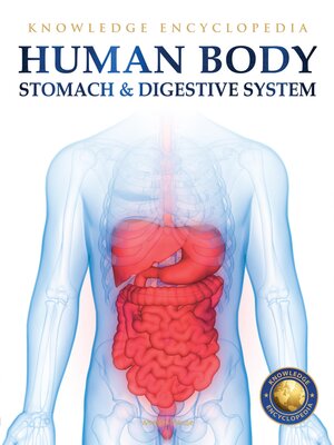 cover image of Human Body--Stomach and Digestive System